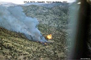 190- ARMEE DE L'AIR EN ALGERIE 1945-1962-38 (99)
